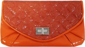 JNB Metal Mesh Clutch