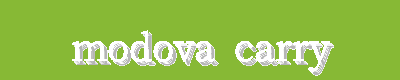 MODOVA Carry | Fashion, Sport & Premium Brand Bags | Stylish Carriers for Every Day